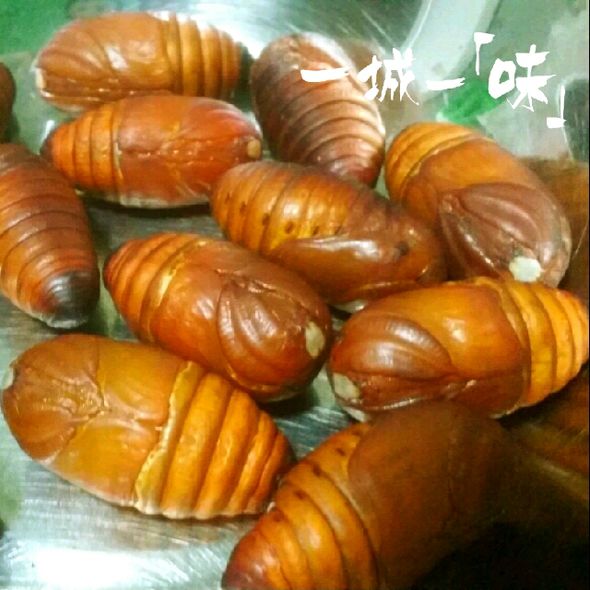 活蚕蛹    