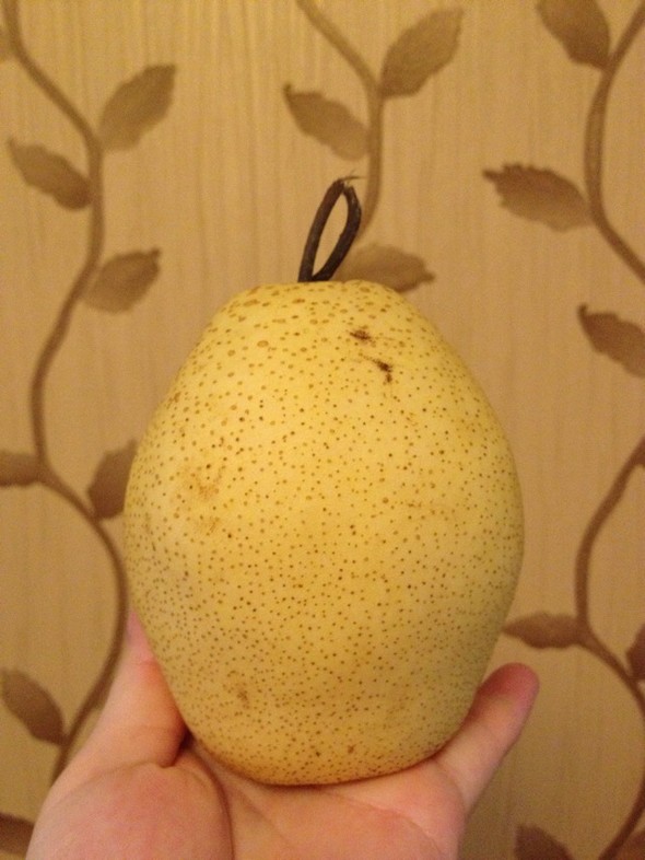 ѩ