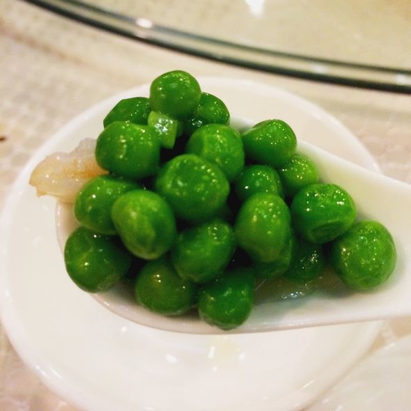 小甜豆