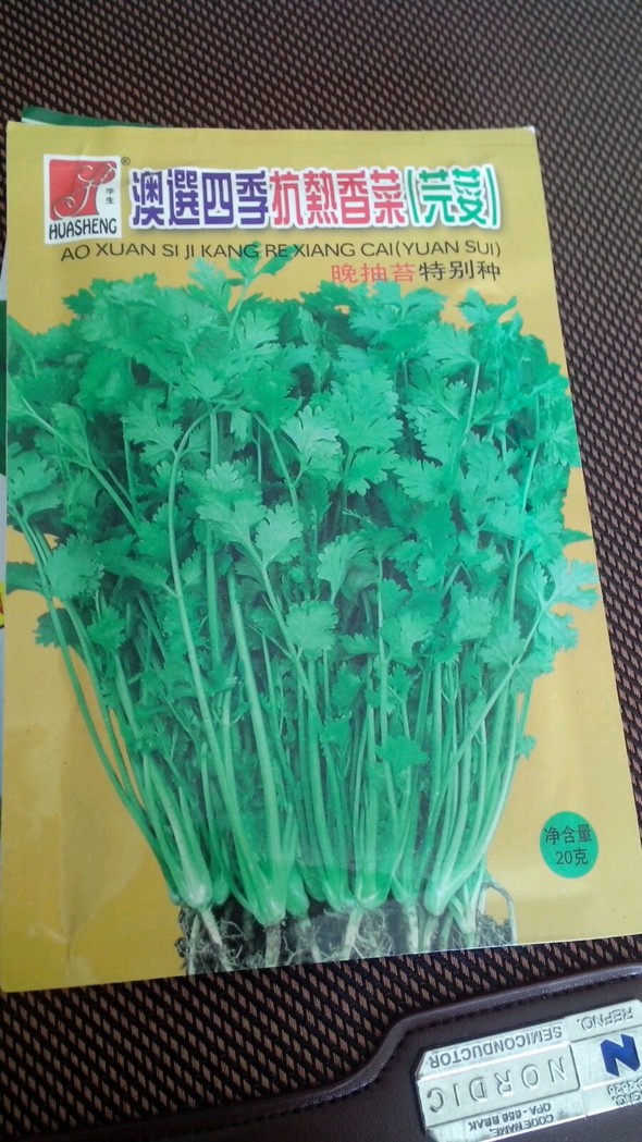 菜籽赞美诗歌6歌谱